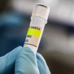 Traitement expérimental envoyé contre le hantavirus