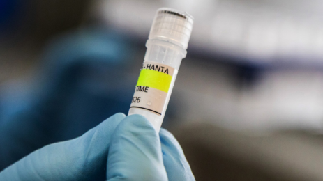 Traitement expérimental envoyé contre le hantavirus
