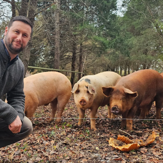 Contrats à terme bovins et porcins à Chicago avec chaleur extrême, grains plus chers et prix du porc en hausse