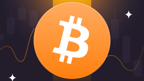 Investor recovers 61 BTC after twelve-year wait